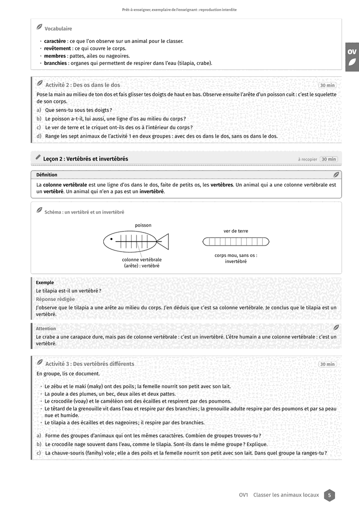 Échantillon Sciences et technologie T5, page 6 sur 10