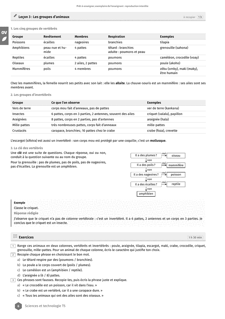 Échantillon Sciences et technologie T5, page 7 sur 10