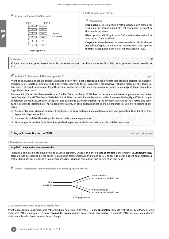Échantillon SVT Tle L, page 7 sur 10